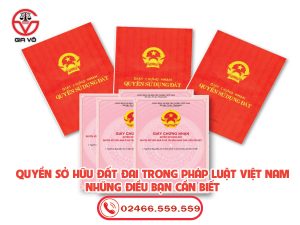 Quyền sở hữu đất đai trong pháp luật Việt Nam - Những điều bạn cần biết