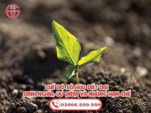 Chế độ sở hữu đất đai: Định nghĩa, ưu điểm và những hạn chế