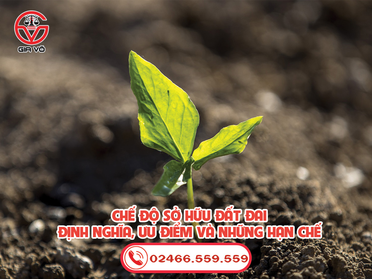Chế độ sở hữu đất đai: Định nghĩa, ưu điểm và những hạn chế