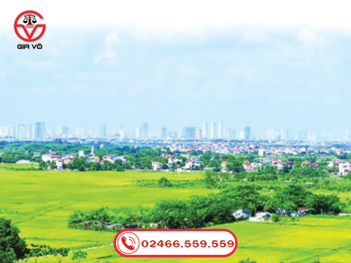 Quyền sử dụng và quản lý đất trong Luật đất đai mới