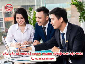 Các vấn đề pháp lý trong doanh nghiệp