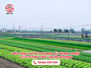 Điều kiện chuyển nhượng đất nông nghiệp